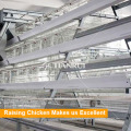 Hot Sale A Type Layer Poultry Battery Cages for Algeria Chicken Farm